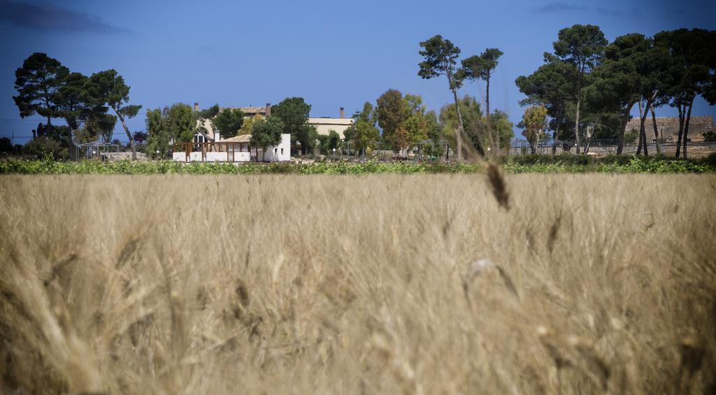 Residence Casale Verderame Trapani Exterior photo